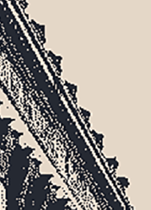 The same image as before. The pixels are blurry.